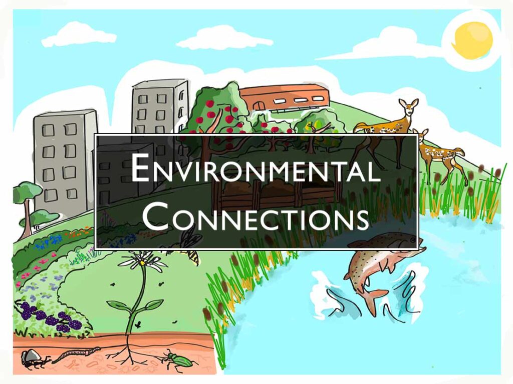 Environmental connections